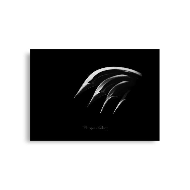 Hook Art - Vintage Pflueger Sobey Hooks -- 1a