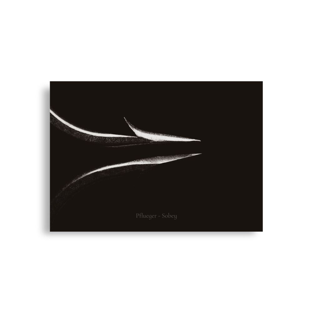 Hook Art - Vintage Pflueger Sobey Hooks -- 5a