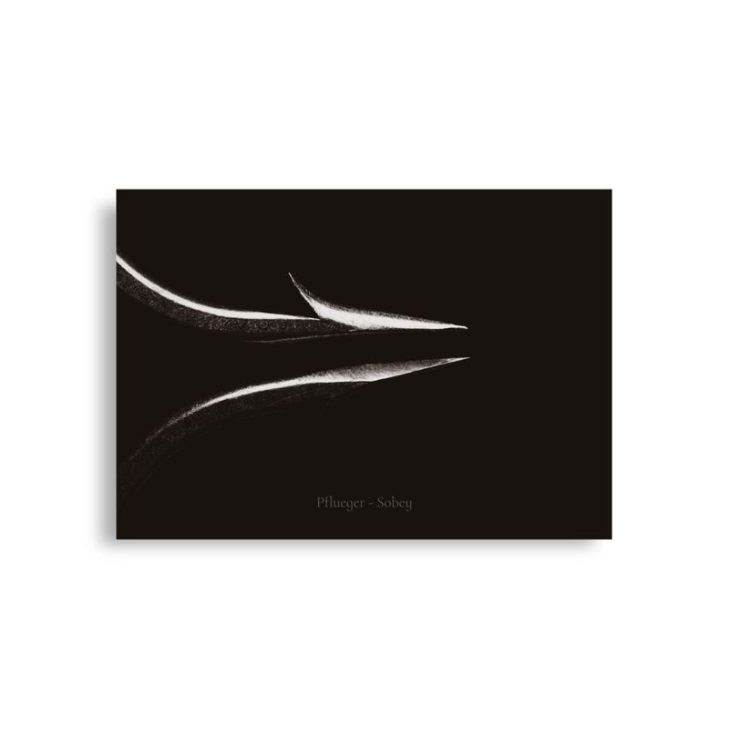 Hook Art - Vintage Pflueger Sobey Hooks -- 5a