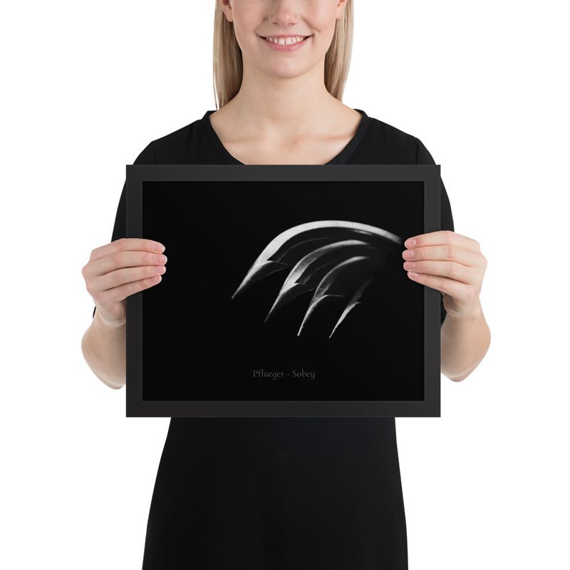 Pflueger - Sobey Hooks Framed Poster 1a