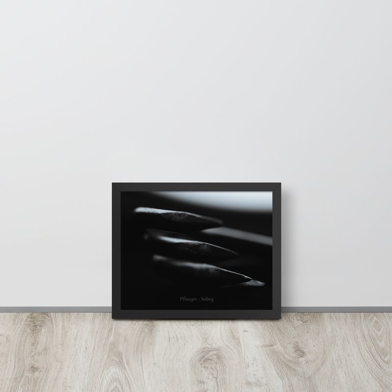 Pflueger - Sobey Hooks Framed Poster 2a