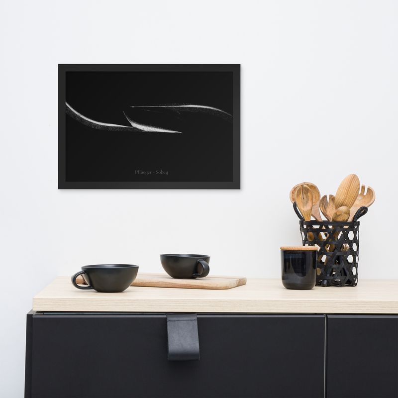 Pflueger - Sobey Hooks Framed Poster 4a