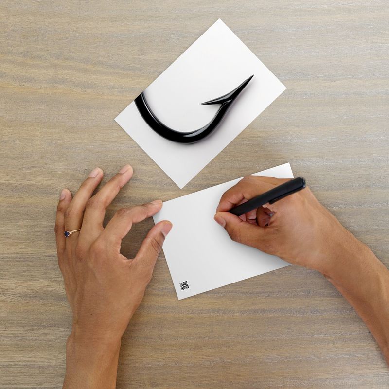 Reinhold Hook Point Postcard