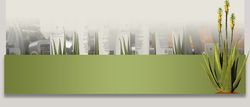 4everliving Products