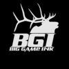 bgiart.com