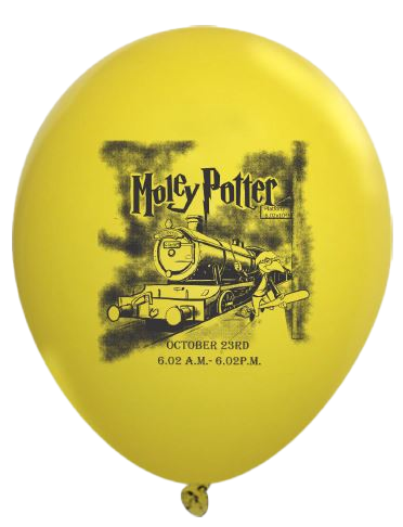 2018 Moley Potter Balloon