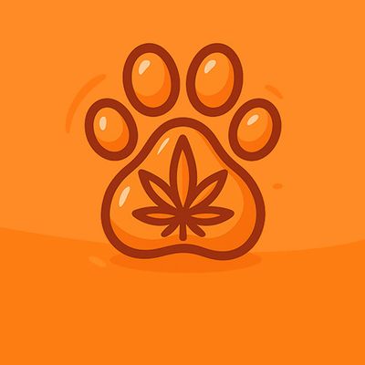 Pet Products