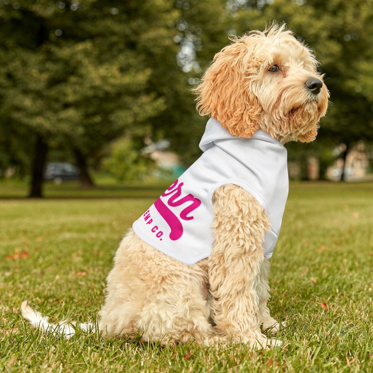 Redfern (Pink logo) Pet Hoodie Redfern (Pink logo) Pet Hoodie, Sizes: XXS, Colors: White Rib