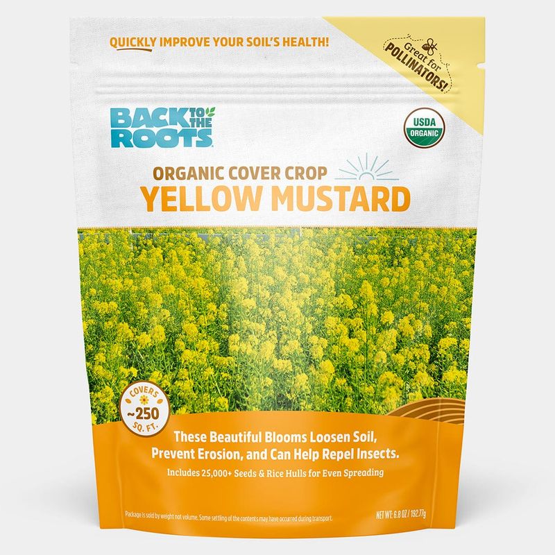 Organic Yellow Mustard Cover Crop Seeds Organic Yellow Mustard Cover Crop Seeds