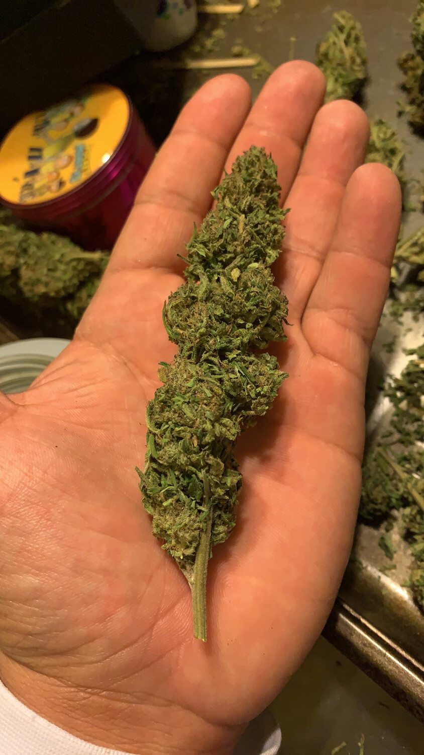 Hemp Flower In Pounds 400  I Do Bulk Orders
