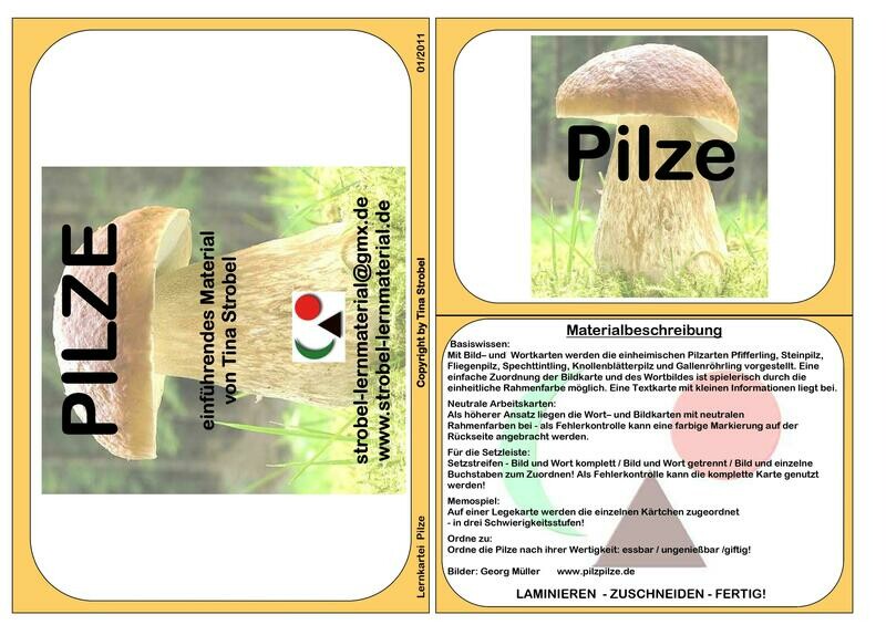 Pilze Lernkartei - einführend