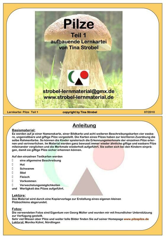 Pilze Lernkartei - aufbauend 1