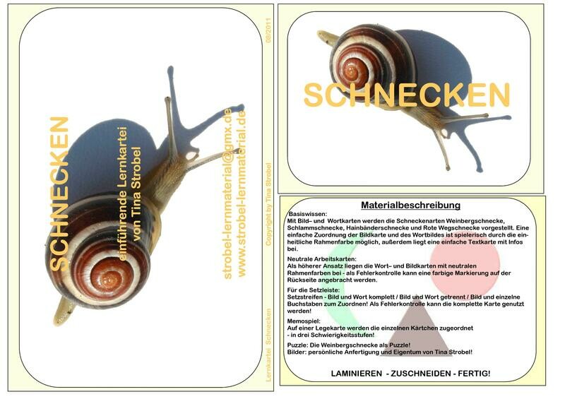 Schnecke Lernkartei - einführend