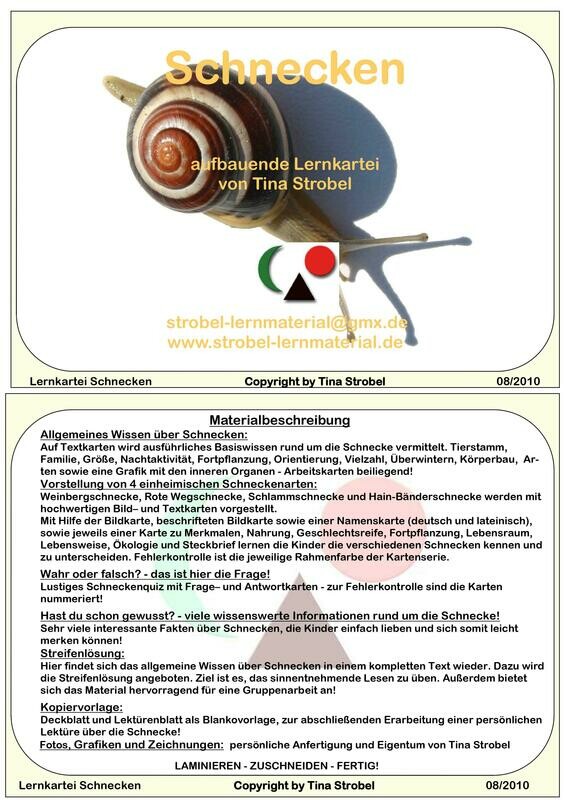 Schnecke Lernkartei - aufbauend