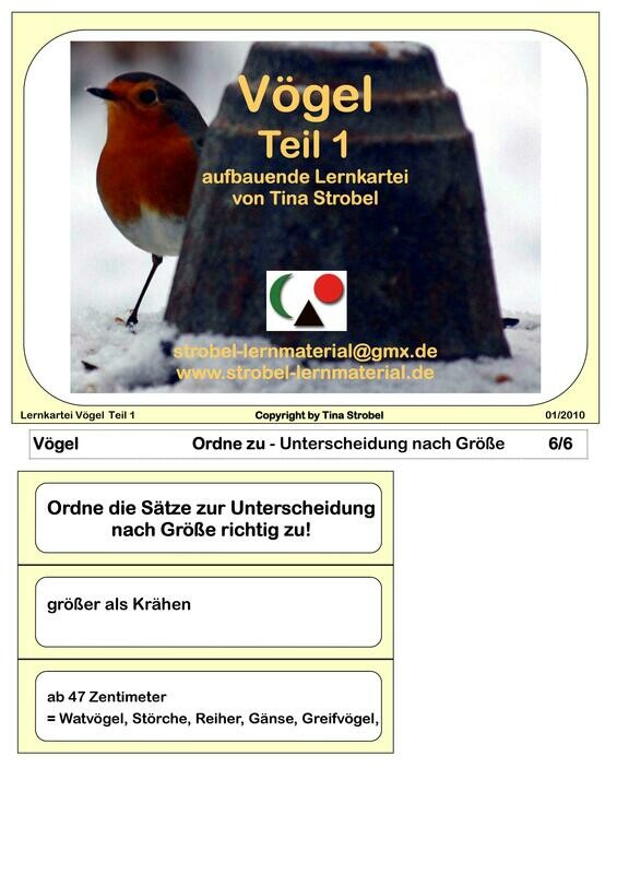Vögel Lernkartei - aufbauend 1