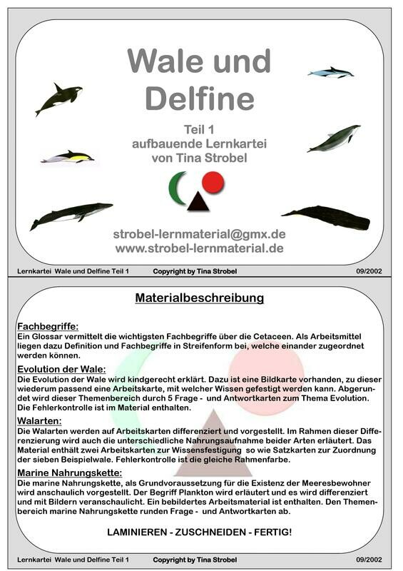 Wale und Delfine - aufbauend 1