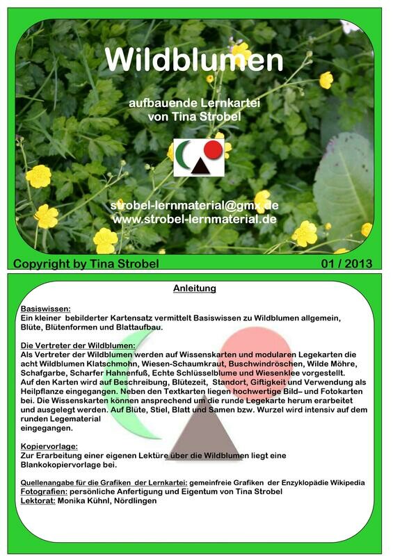 Wildblumen Lernkartei - aufbauend