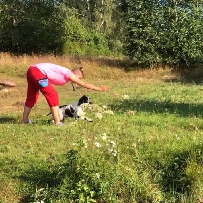 Fortsättningskurs i apportering