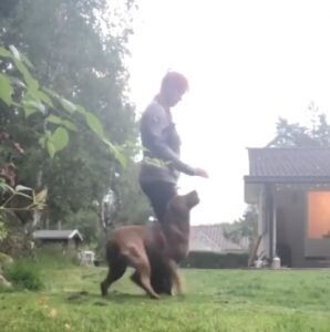 PRIVATträning klippkort 8*45 minuter
