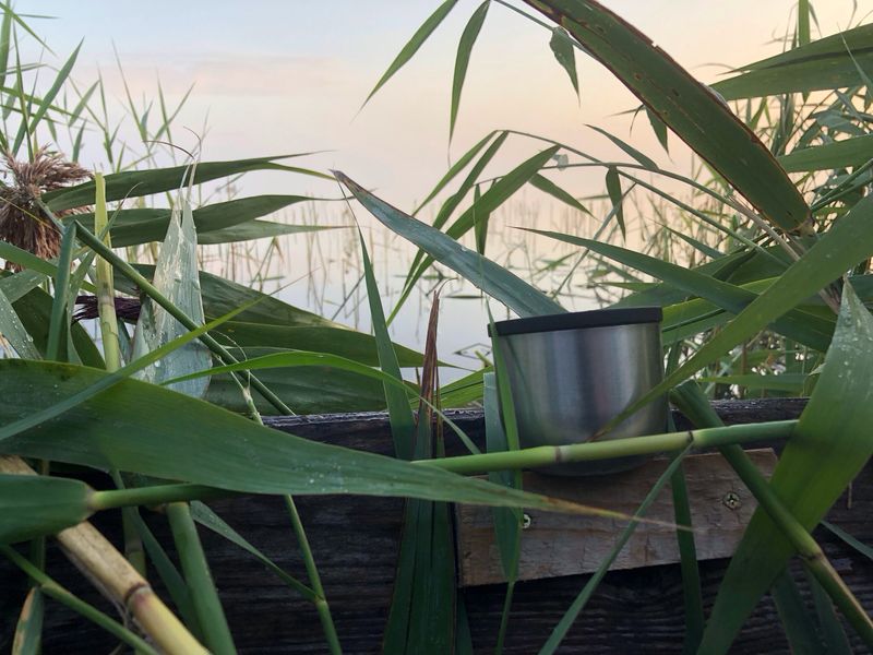 Unga Spaniel (Från Ca 18 månaders ålder) Söndagar Unga Spaniel (Från Ca 18 månaders ålder) Söndagar