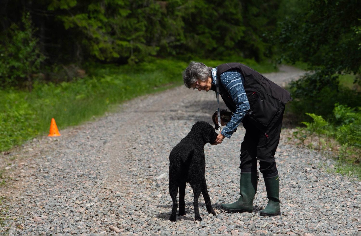 Retriever mot jakt och nybörjarklass (Från Ca 18 månaders ålder)