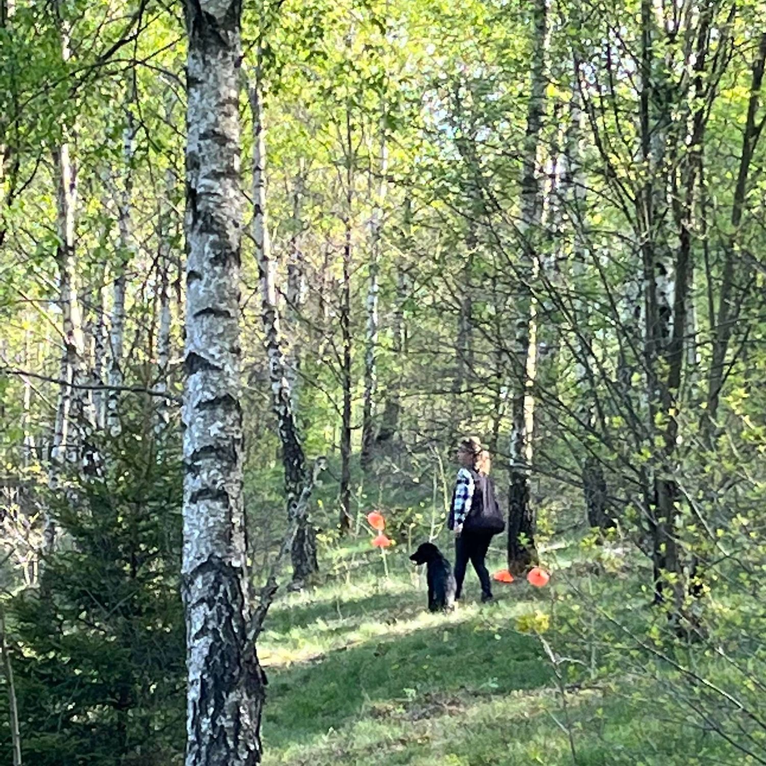7 Gånger (steg 2) i DIRIGERING
