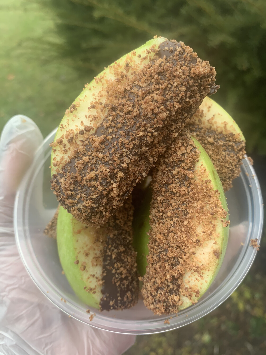 Chocolate Covered Apples