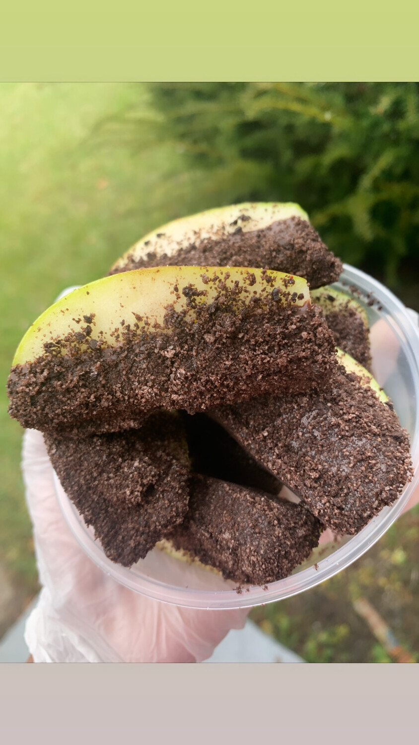 Chocolate Covered Apples