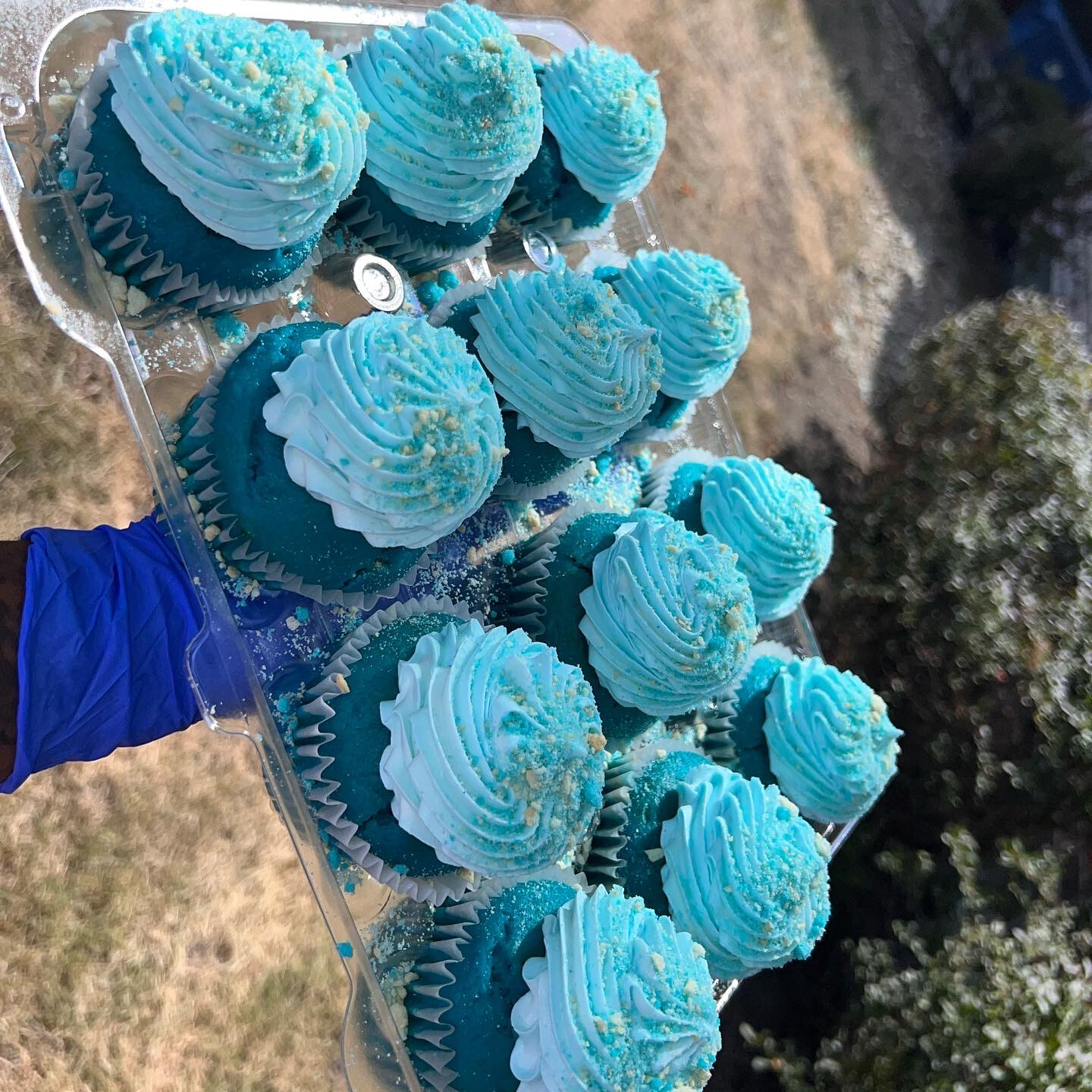 Cupcakes