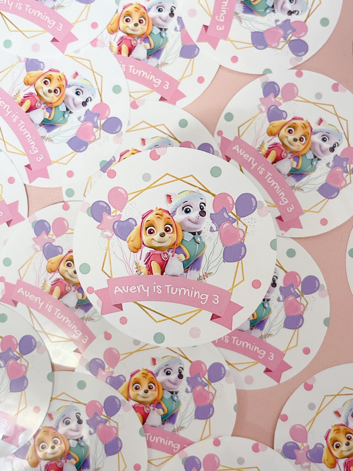 Skye + Everest Paw Patrol Round Stickers (Print and shipped)