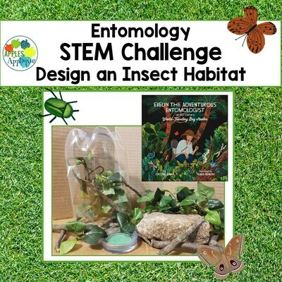 FREE Entomology STEM Activity
