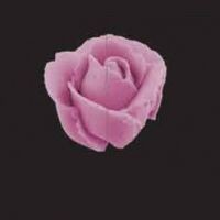 PME Nozzle -PETAL/RUFFLE -EXTRA EXTRA LARGE No.127D - Μύτη Κορνέ για Πολύ Μεγάλο Πέταλο