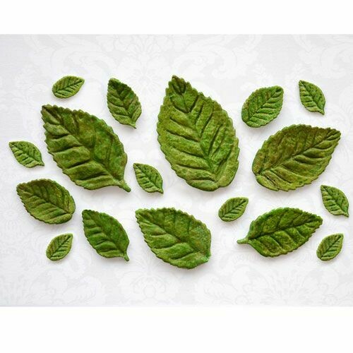 Katy Sue Silicone Mould -ROSE LEAVES - Καλούπι Σιλικόνης Φύλλα Τριαντάφυλλου