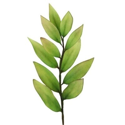 FMM Flower Cutters -MULTI-USE PETAL &amp; LEAF - Σετ 5τεμ κουπ πατ Πέταλα &amp; Φύλλα-∞∞∞