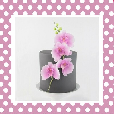 Flower Veiners, Moulds &amp; Cutters