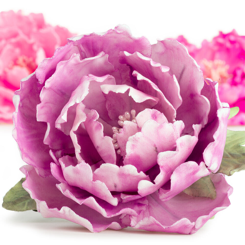 DECORA Cutters -PEONY &amp; LEAF - Σετ 7τεμ πλαστικά κουπ πατ για Παιώνια