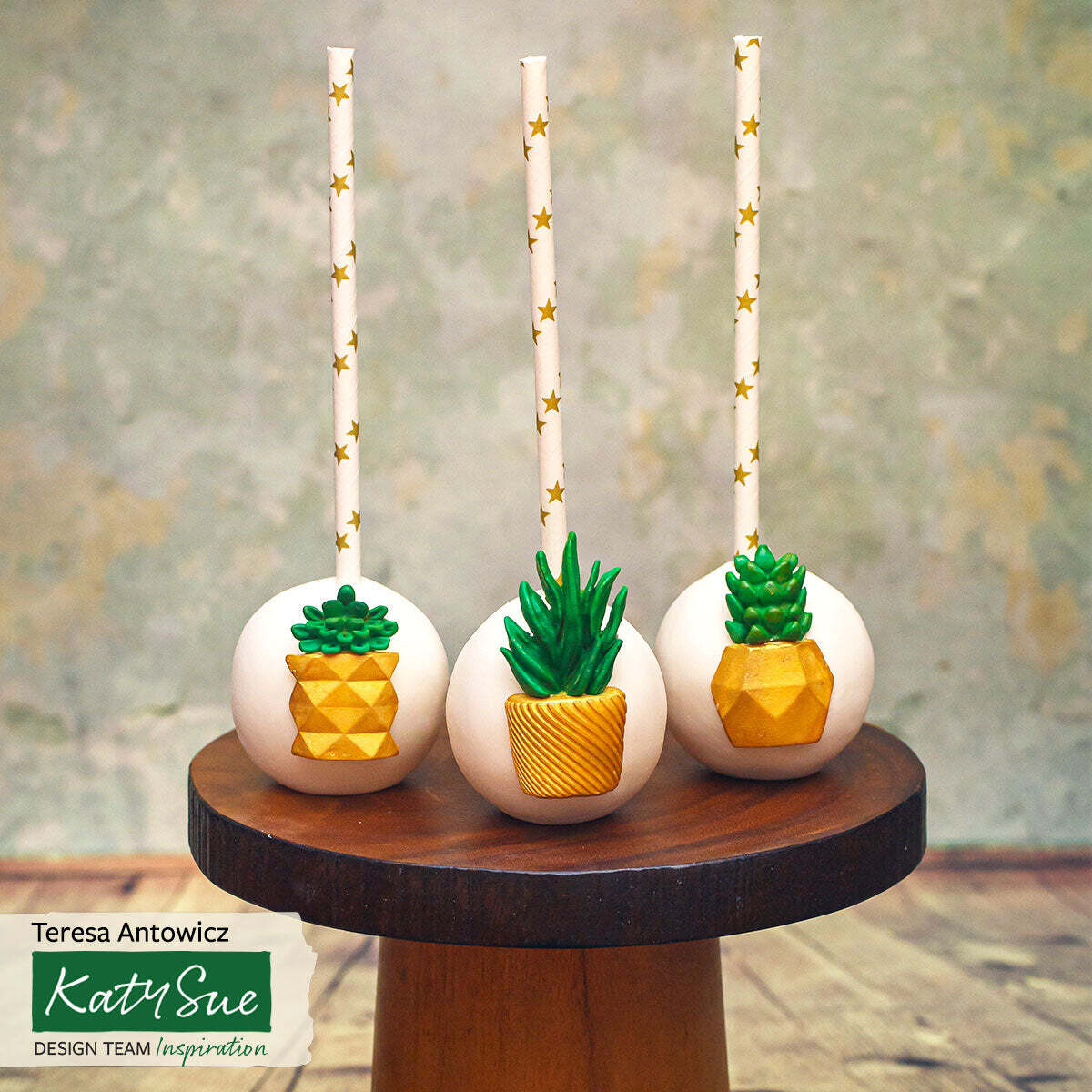 Katy Sue Silicone Mould -SUCCULENT POTS -Καλούπι Σιλικόνης Γλάστρες με παχύφυτα