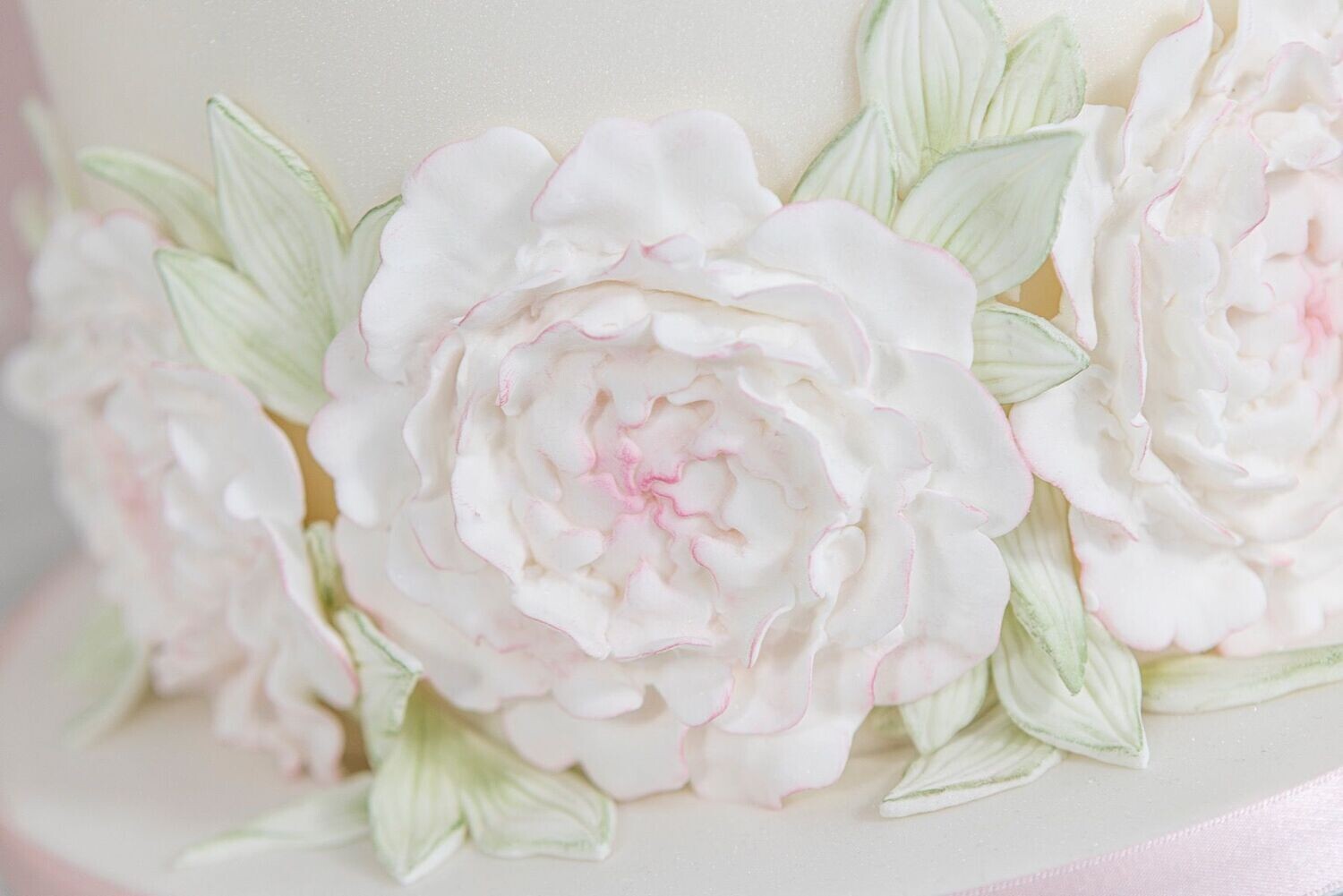 SALE!!! Karen Davies PEONY MOTIF -Καλούπι Σιλικόνης Μοτίβο Παιώνιας