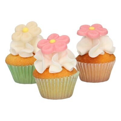 FunCakes Marzipan Decorations -WHITE &amp; PINK DAISIES 12τμχ - Βρώσιμα διακοσμητικά ζαχαρωτά από αμυγδαλόπαστα - Μαργαρίτες