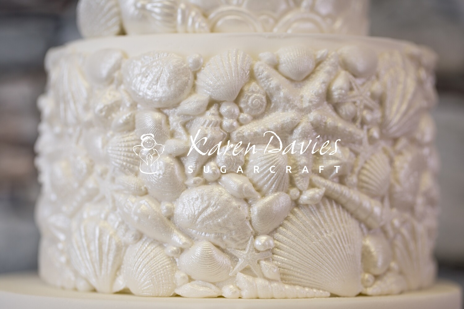 Karen Davies SUGAR SHELLS- Καλούπι Σιλικόνης Κοχύλια