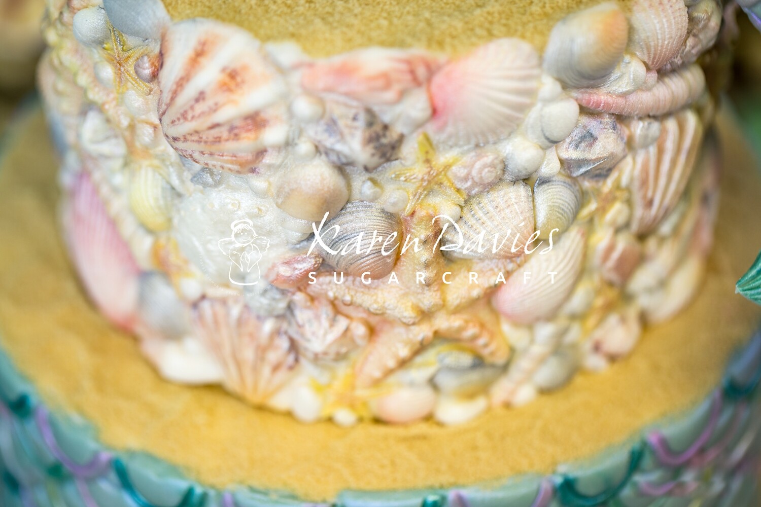 Karen Davies SUGAR SHELLS- Καλούπι Σιλικόνης Κοχύλια
