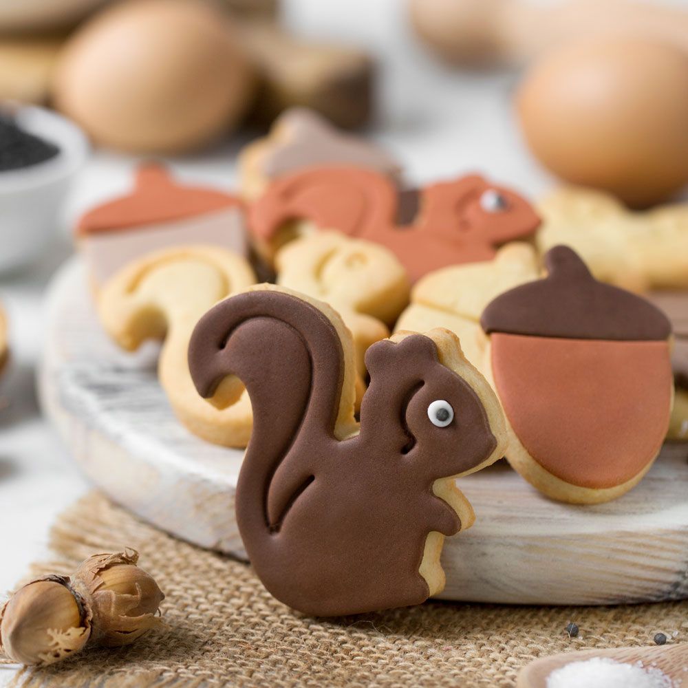 DECORA Cutters -FOREST (SQUIRREL &amp; ACORN) -Σετ 2 πλαστικά κουπ πατ Σκίουρος και Βελανίδι