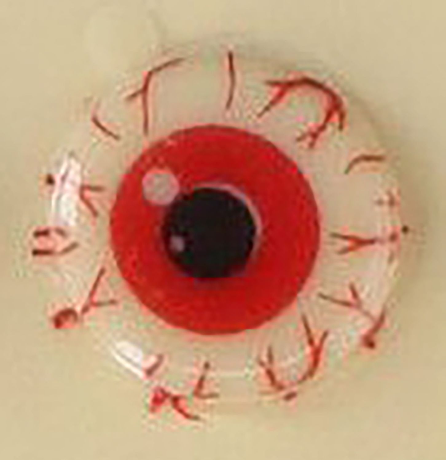 FunCakes Sugar Decorations -ZOMBIE EYEBALLS 25 τμχ - Βρώσιμα Σοκολατένια Τρομακτικά Μάτια
