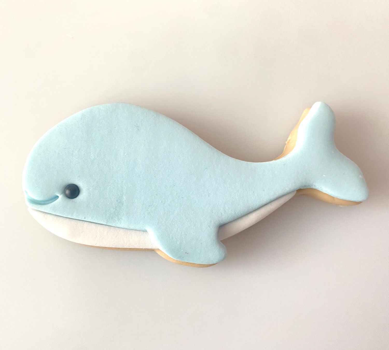 CBS Σετ 3 τμχ κουπάτ WHALE 10εκ