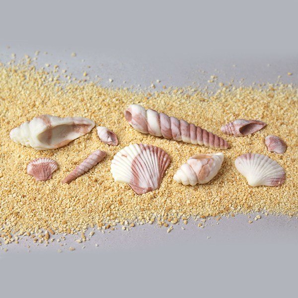 Katy Sue Silicone Mould -SEA SHELLS -Καλούπι Σιλικόνης Κοχύλια της Θάλασσας με 10 Σχέδια