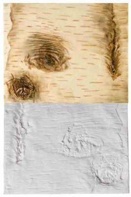 SALE!!! FPC Silicone Texture Mat -BIRCH BARK -Πατάκι Σιλικόνης Φλοιός Σημύδας SALE!!! FPC Silicone Texture Mat -BIRCH BARK -Πατάκι Σιλικόνης Φλοιός Σημύδας