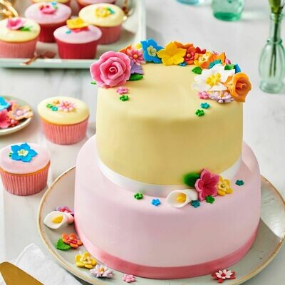 SALE!!! FunCakes Fondant -MULTIPACK -PINK COLOUR PALETTE 5x100g - Σετ με 5 Ζαχαρόπαστες σε Αποχρώσεις του Ροζ ΑΝΑΛΩΣΗ ΚΑΤΑ ΠΡΟΤΙΜΗΣΗ 22/10/26