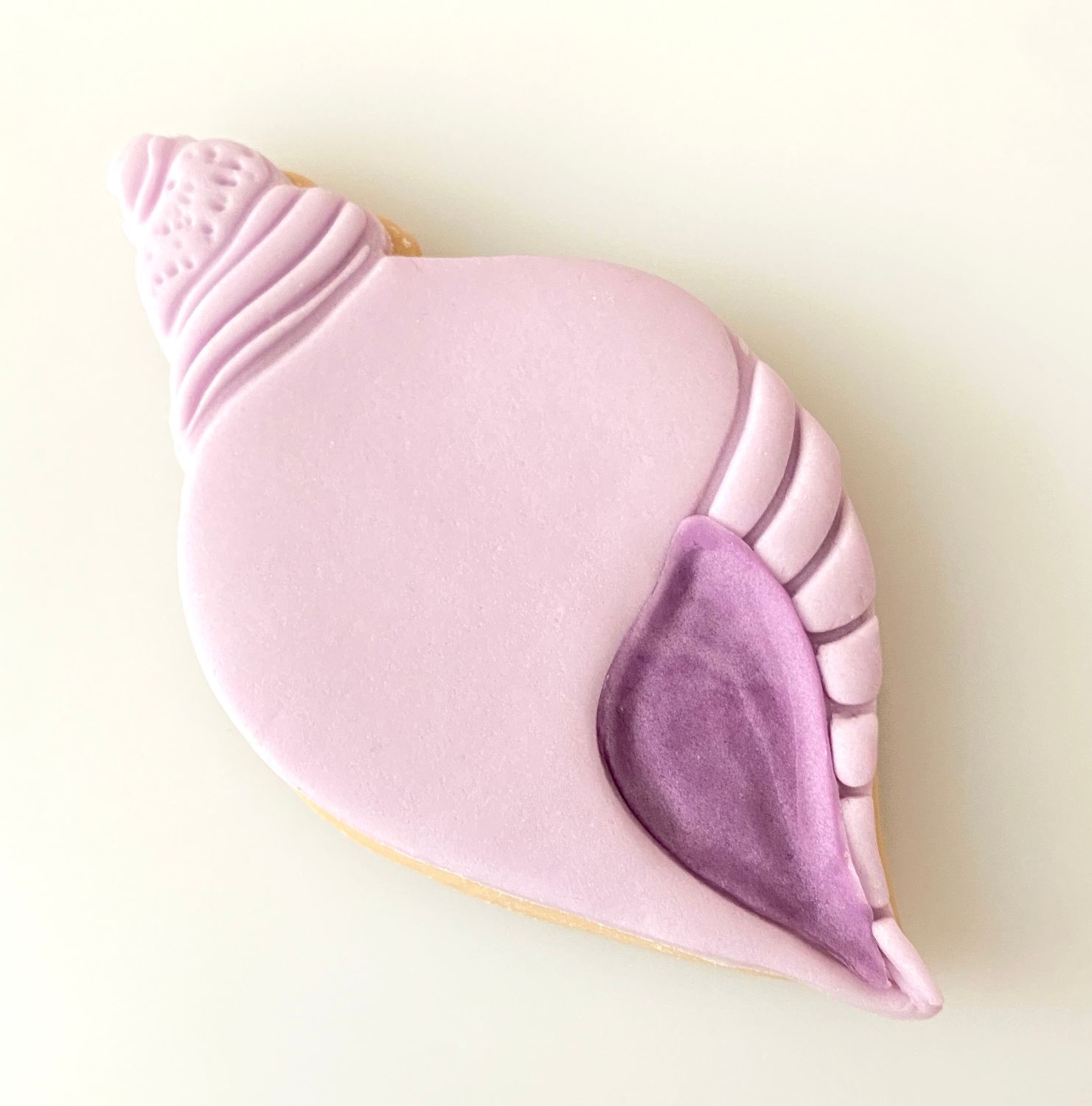 CBS Σετ 3 τμχ κουπάτ CONCH SHELL 9εκ, 10εκ ή 11εκ-Κοχύλι