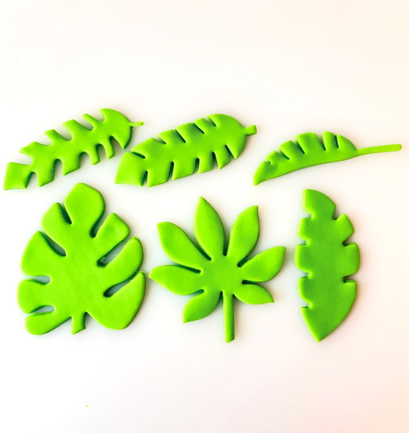 CBS Σετ 6 τμχ. κουπ πάτ Τροπικά Φύλλα. Set of 6 TROPICAL LEAF CUTTERS