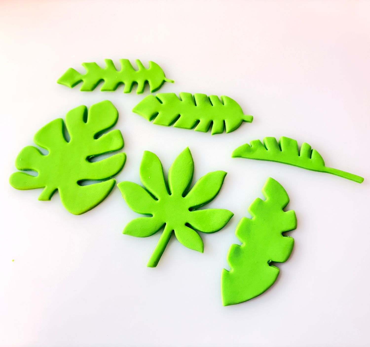 CBS Σετ 6 τμχ. κουπ πάτ Τροπικά Φύλλα. Set of 6 TROPICAL LEAF CUTTERS